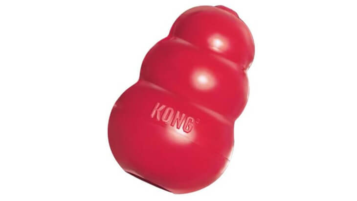KONG Classic Dog Toy
